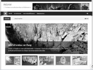 insiam.com